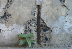 Варианты защиты бетонных покрытий от внешней среды
