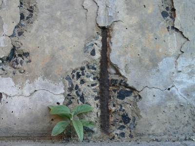 Зачем защищать бетон